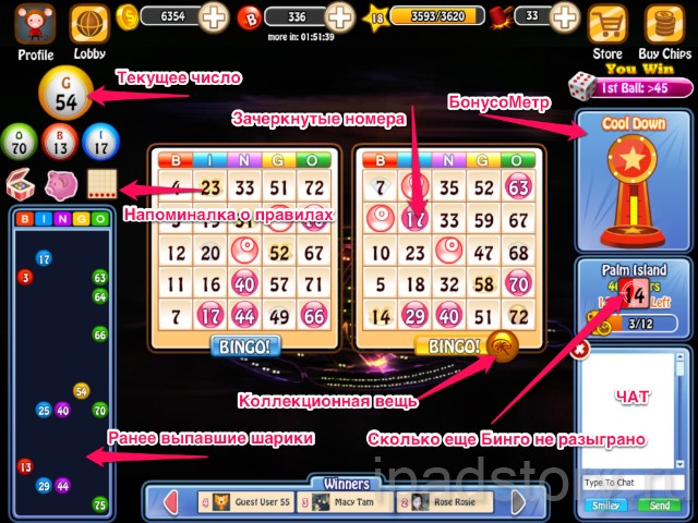 Bingo Bash HD - поле с игрой на iPad