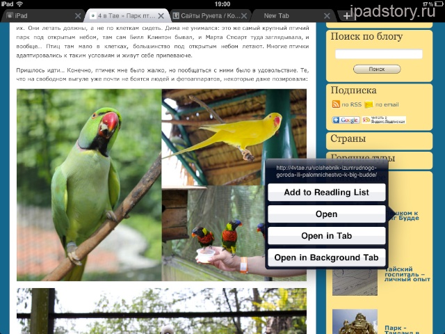 iChromy браузер на iPad