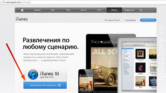 iTunes скачать бесплатно на русском языке для Windows