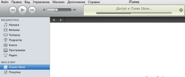 Скачать программу в iTunes.